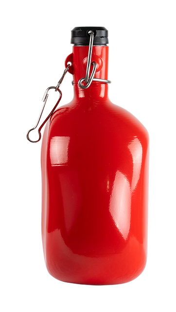 GOURDE OVALE ROUGE Val d'Isére Fin de Série - 1 LITRE - EN ALUMINIUM GOURDE OVALE ROUGE Val d'Isére Fin de Série - 1 LITRE - EN ALUMINIUM