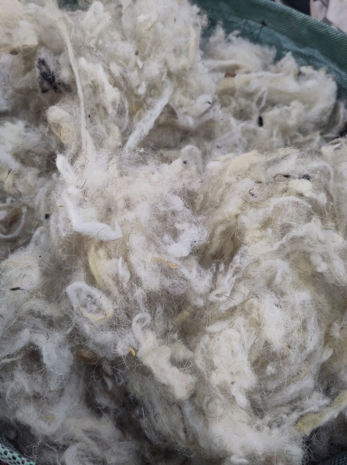 Laine de Mouton Lavée pour 500g Made in France | EMERO