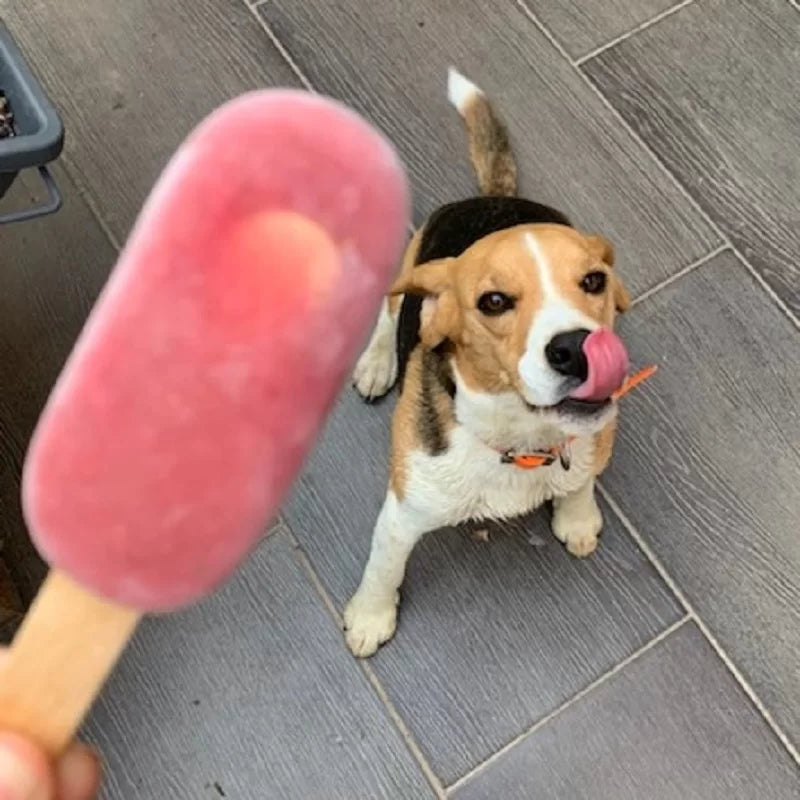 EMERO - Glace pour Chien / Pomme - Fraise - Origine : France 🐾