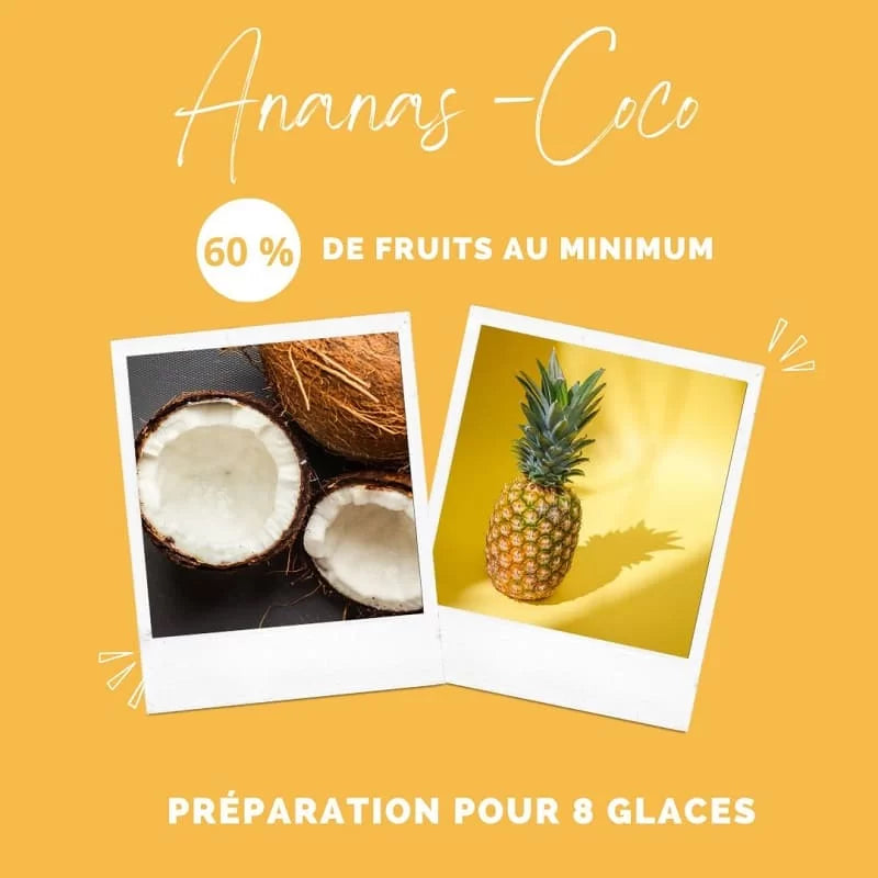 EMERO - Glace pour Chien / Ananas - Coco - Origine : France 🐾