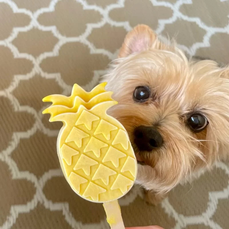 EMERO - Glace pour Chien / Ananas - Coco - Origine : France 🐾