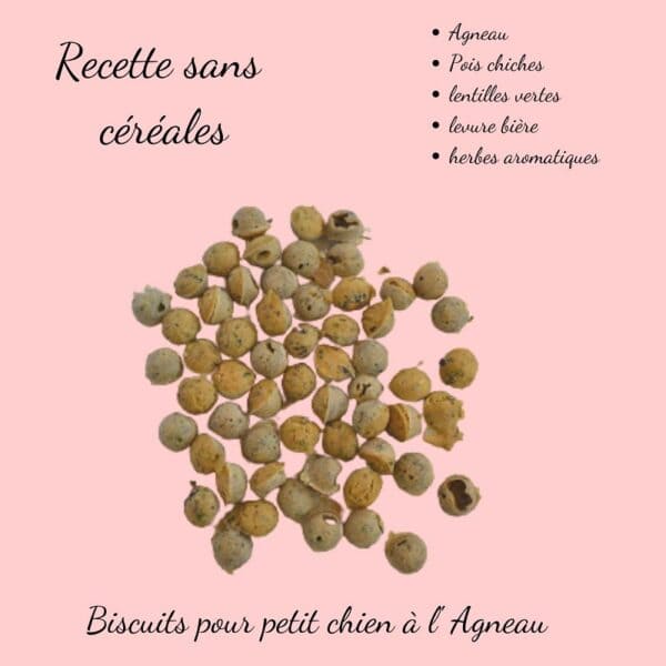 Biscuits Naturels pour Petit Chien - Agneau (40g) & Fabriqués en France | Bio, Sans Céréales & Hypoallergéniques