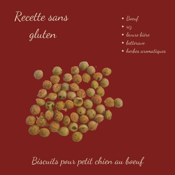Biscuits Naturels pour Petit Chien - Bœuf & Betterave (45g) & Fabriqués en France | Bio, Sans Gluten & Vitalité