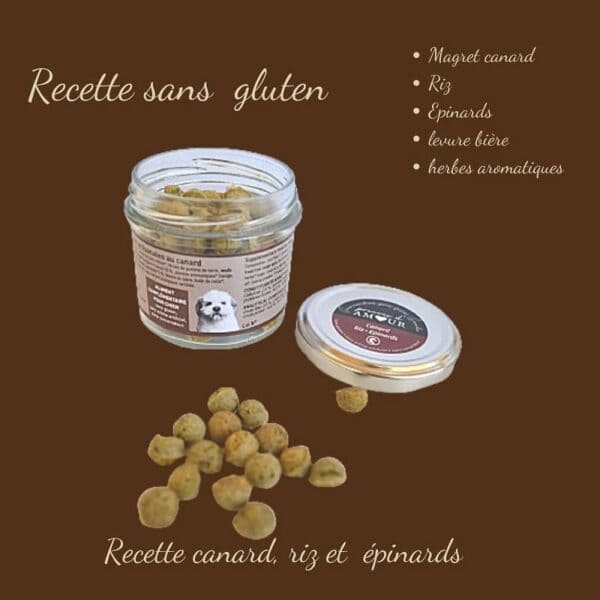Biscuits Naturels pour Petit Chien - Canard & Épinard (45g) & Fabriqués en France | Bio, Sans Gluten & Vitalité