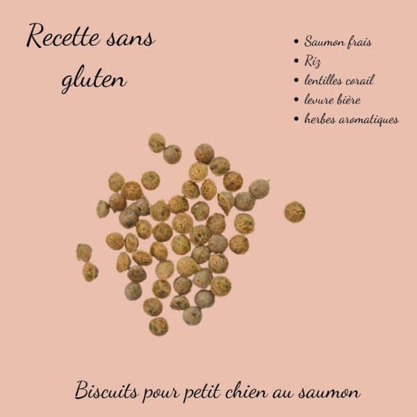 Biscuits Naturels pour Petit Chien - Saumon & Lentilles Corail (45g) & Fabriqués en France | Bio, Sans Gluten & Oméga 3