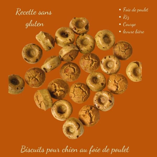 Biscuits Naturels pour Chien - Foie de Poulet & Potiron (Sachet 100g) & Fabriqués en France | Bio, Sans Gluten & Vitalité