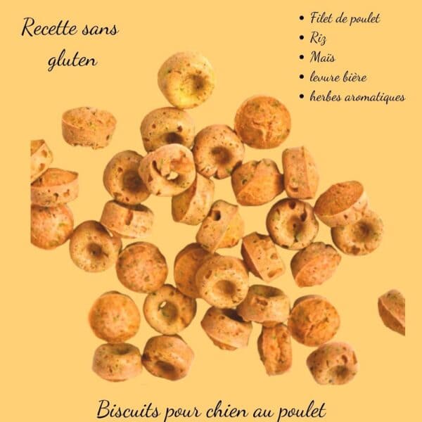 Biscuits Naturels pour Chien - Poulet & Curcuma & Fabriqués en France | Bio & Antioxydants