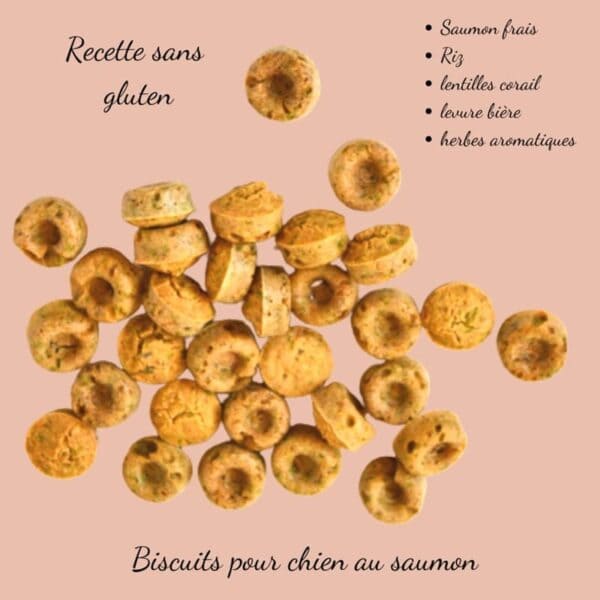 Biscuits Naturels pour Chien - Saumon & Fabriqués en France | Bio, Sans Céréales & Oméga 3