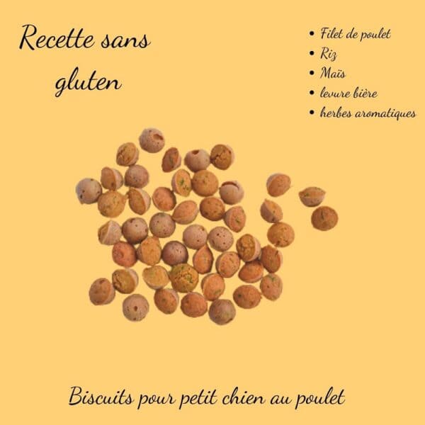Biscuits Naturels pour Petit Chien - Poulet & Carotte (45g) & Fabriqués en France | Bio, Sans Gluten & Vitalité