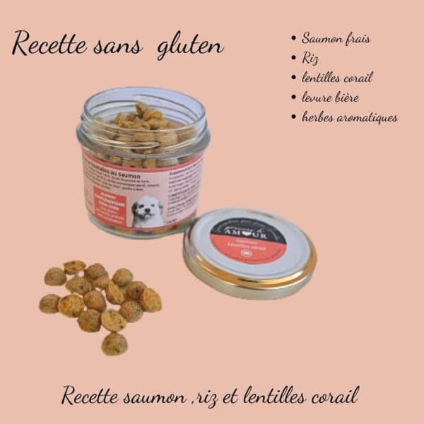 Biscuits Naturels pour Petit Chien - Saumon & Lentilles Corail (45g) & Fabriqués en France | Bio, Sans Gluten & Oméga 3