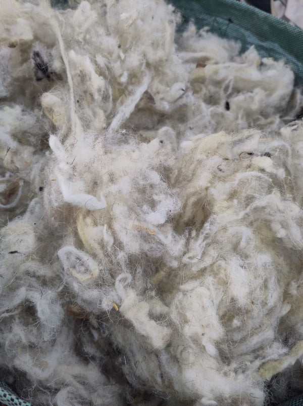 Laine de Mouton Lavée pour 500g Made in France | EMERO