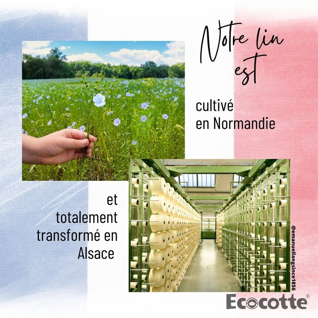 Lot de Serviettes en Lin Français & Fabriqué en France | Table Durable & Écologique